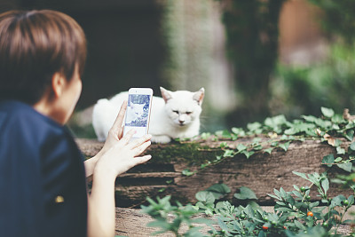 尼康相机与佳能镜头卡口匹配吗，佳能50mm f1.8遮光罩怎么选