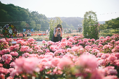 1d佳能相机旗舰店价格，佳能EOS 5D Mark III